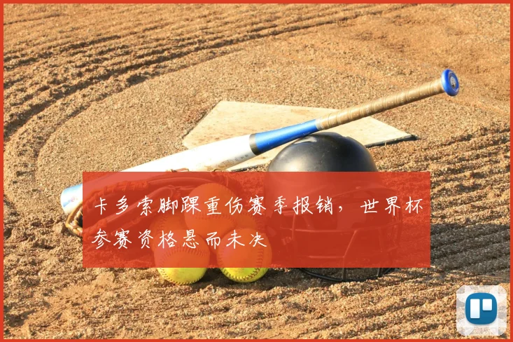 卡多索脚踝重伤赛季报销，世界杯参赛资格悬而未决